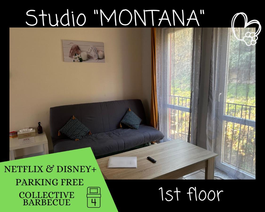 L'Arizona Dinant - Studio Montana - Barbecue, Free Parking, Dog Ok Екстериор снимка